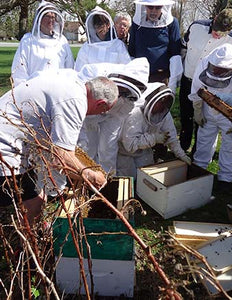 Formation sur l'apiculture