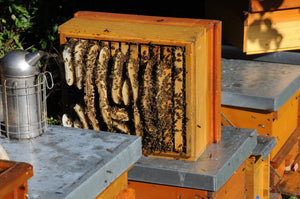 Matériel apicole – Apiculture Patenaude